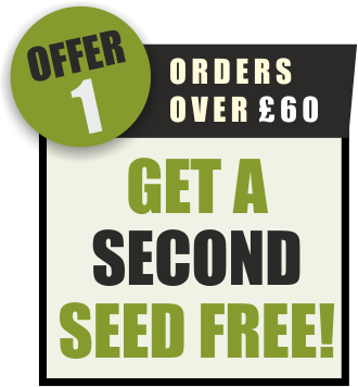 Offer 1: Orders over £60 - Get a second seed free!