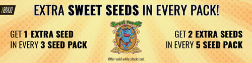 Sweet Seeds Promotion